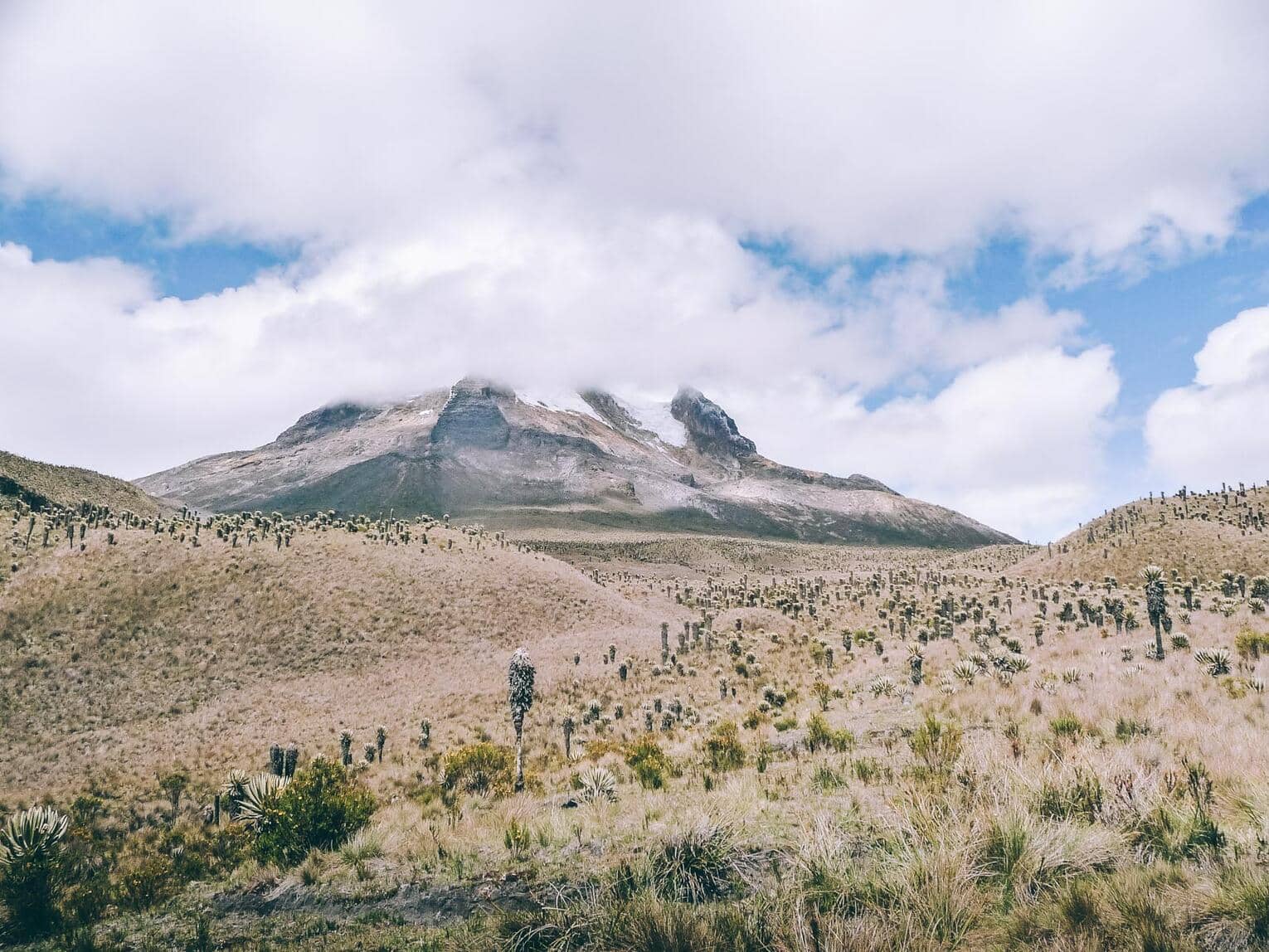 Randonnée en Colombie : Trek au Parc naturel Los Nevados