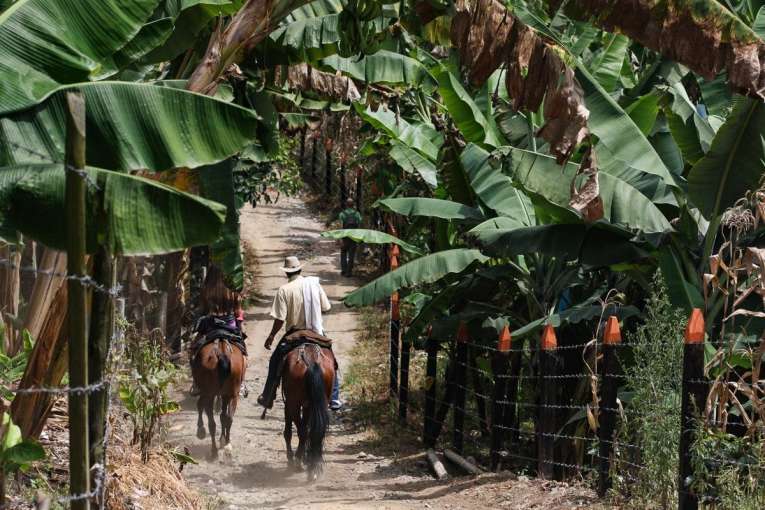 acitivités à salento balade à cheval blog de voyage en colombie