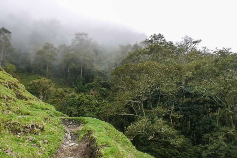 trek dans la vallée de cocora incontournable de colombie