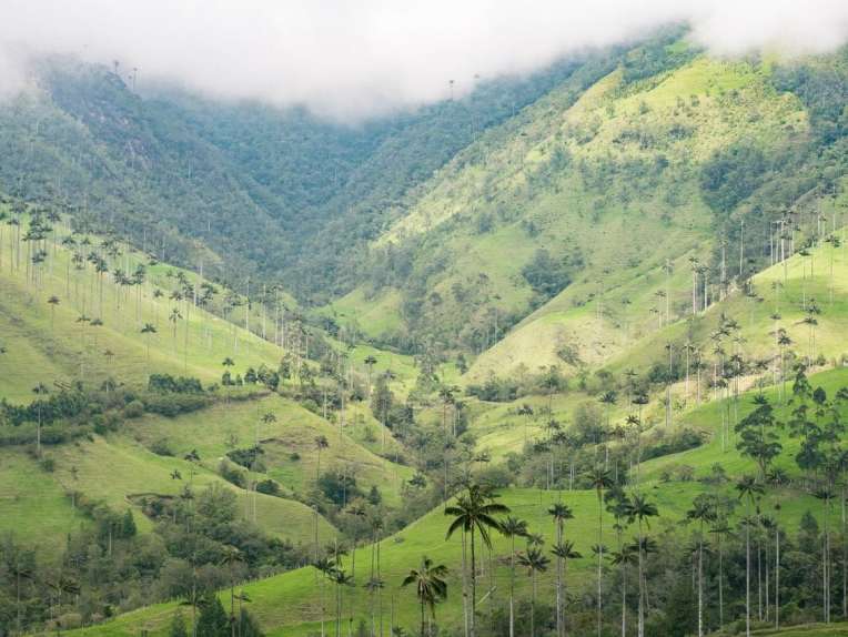 trek dans la vallée de cocora incontournable de colombie
