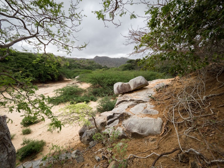 parc de la makuira désert de la Guajira voyage Colombie