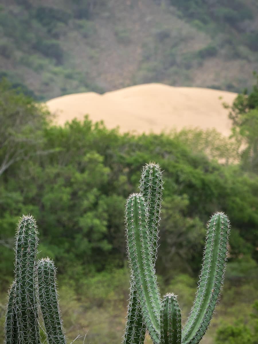 parc de la makuira désert de la Guajira voyage Colombie