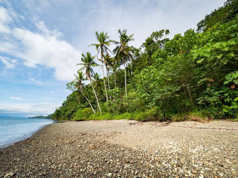 ensenada utria parc naturel côte pacifique près de nuqui colombie