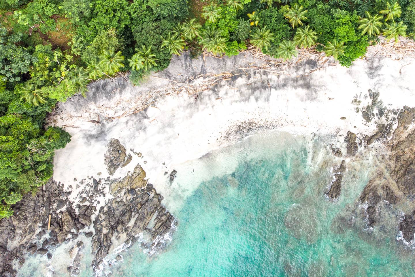Les plus belles plages de Colombie offrent une vue aérienne d'une plage de sable blanc offerte d'arbres.