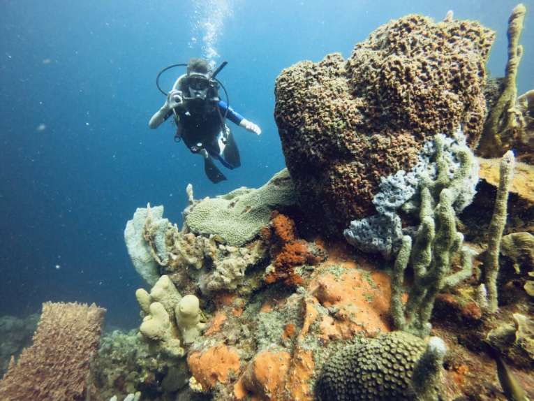 Plongée sous-marine à Cartagena Islas del Rosario en Colombie
