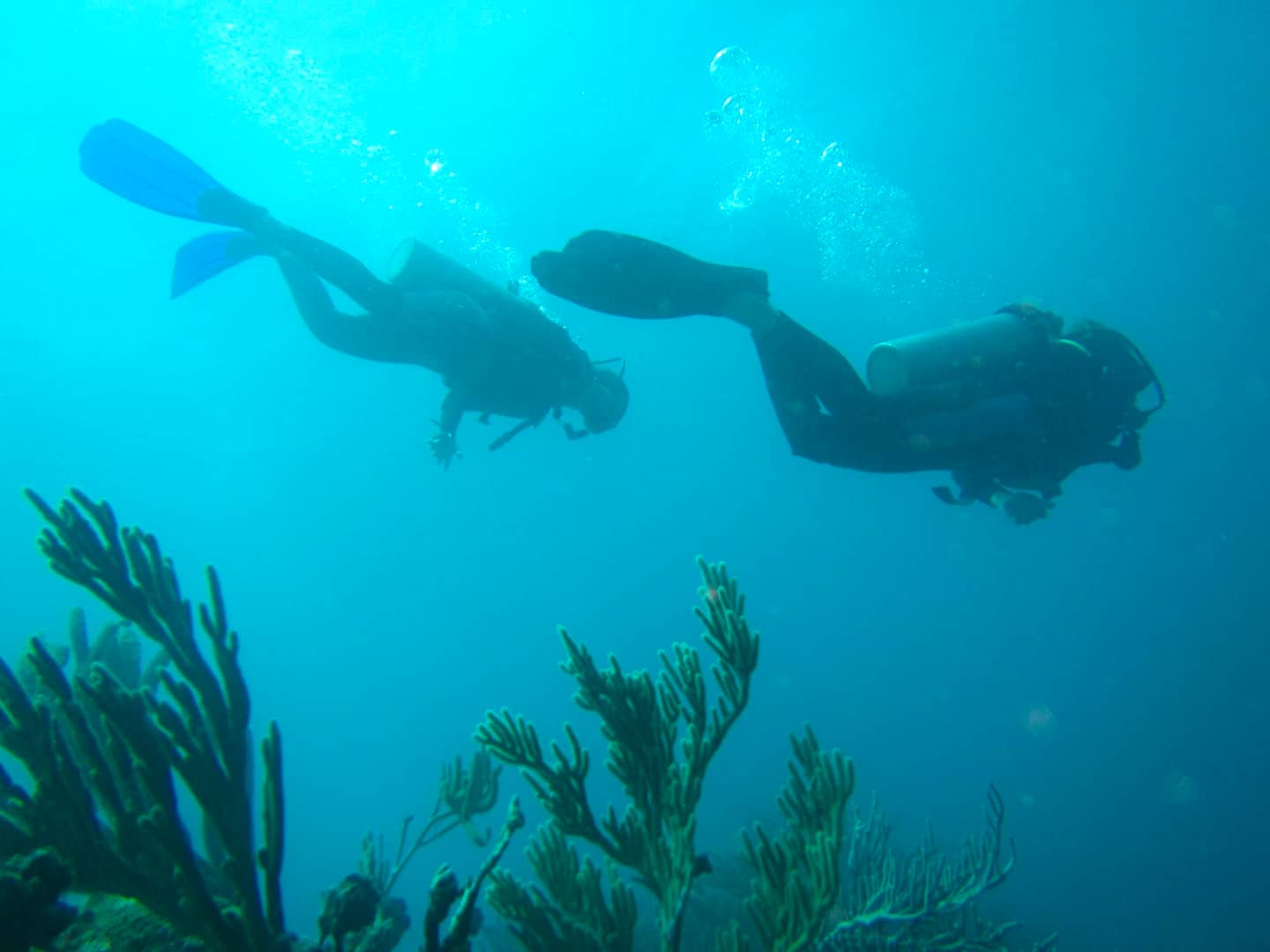 Plongée sous-marine à Carthagène / Mon voyage en Colombie