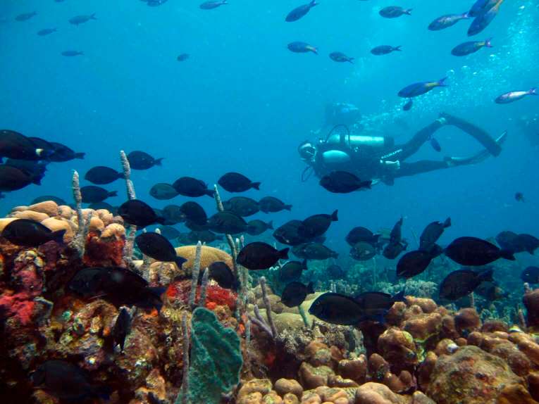Les meilleurs spots de plongée sous marine en Colombie