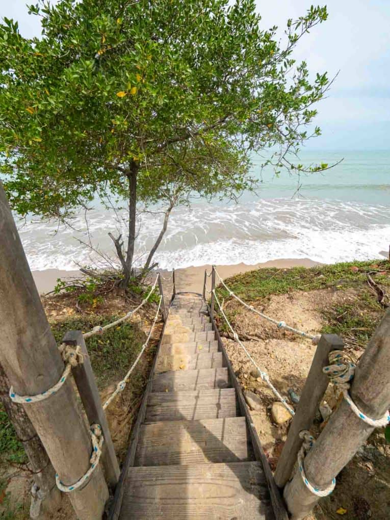 Escaliers menant à une plage avec un arbre en arrière-plan.