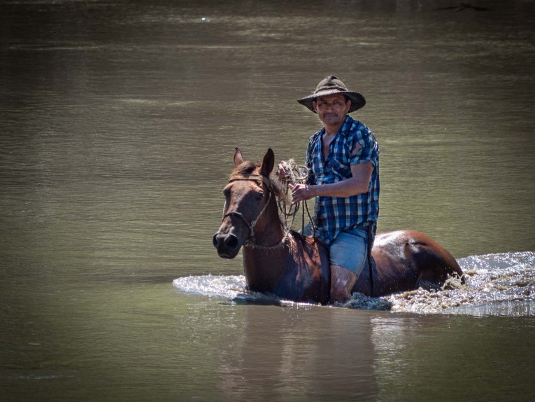 Traversée de la rivière à cheval, Casanare en Colombie