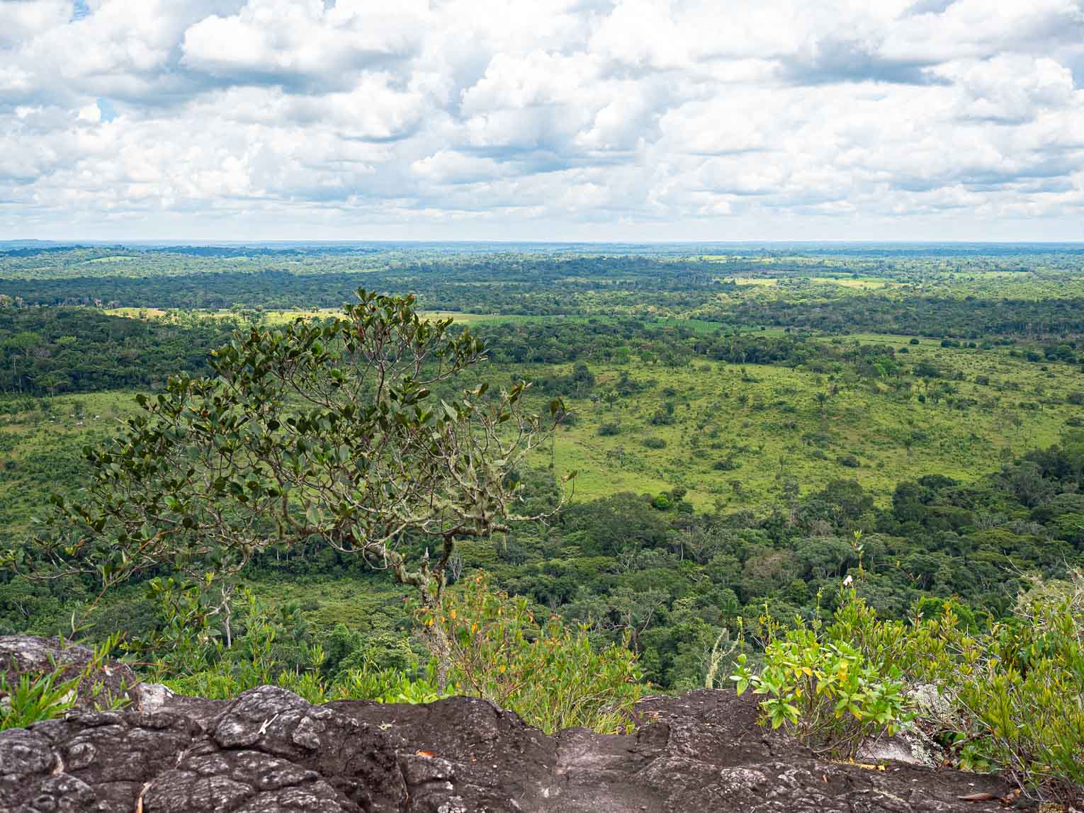 Vue sur la forêt amazonienne depuis le Cerro Azul dans le Guaviare