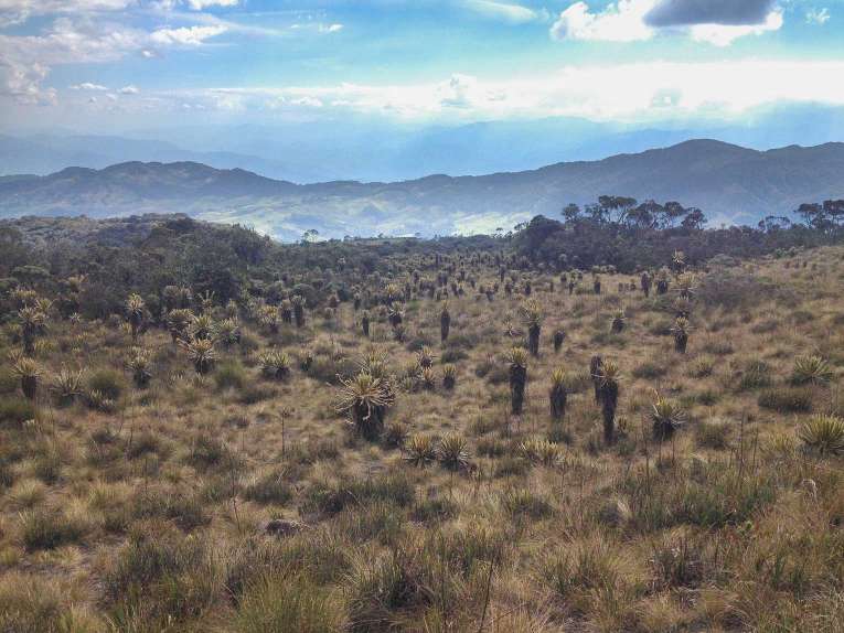 Trek et randonnées autour de Medellin en Colombie