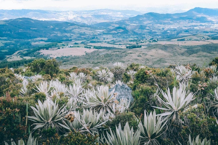 Parc naturel de Chingaza, Lagunas de Siecha
