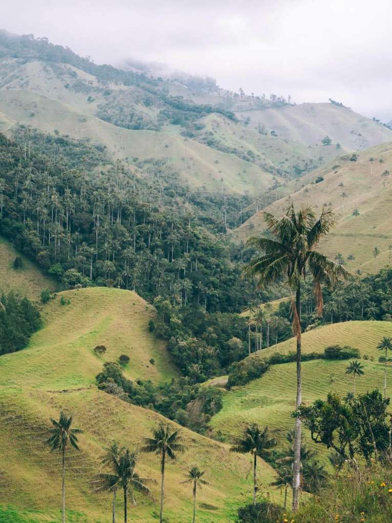Les vrais paysages colombiens qui ont inspirés le film Encanto de Disney