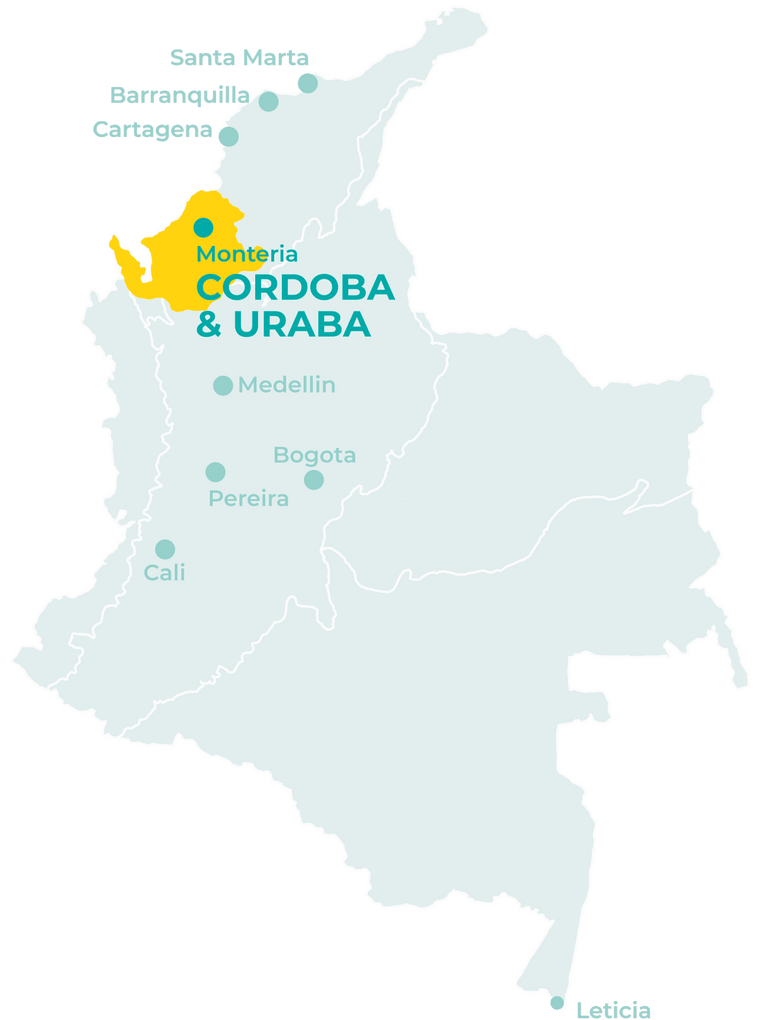 Visiter le Cordoba et l'Uraba