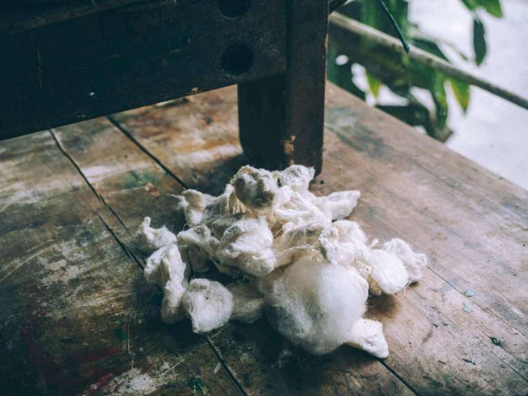 Production de soie, que faire dans la région de Poayan