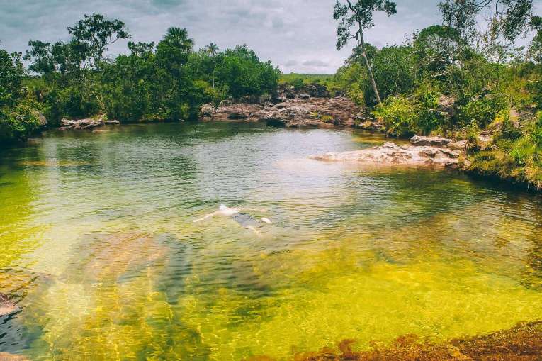 Visiter Caño Cristales, la plus belles rivière du monde en Colombie