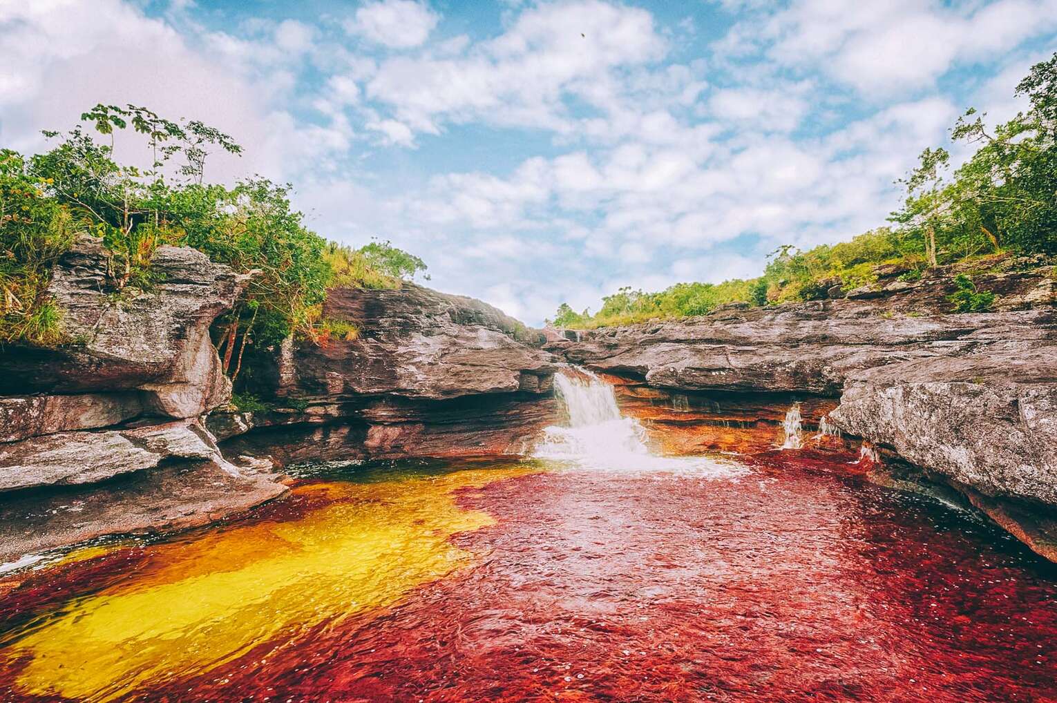 Visiter Caño Cristales, la plus belles rivière du monde en Colombie