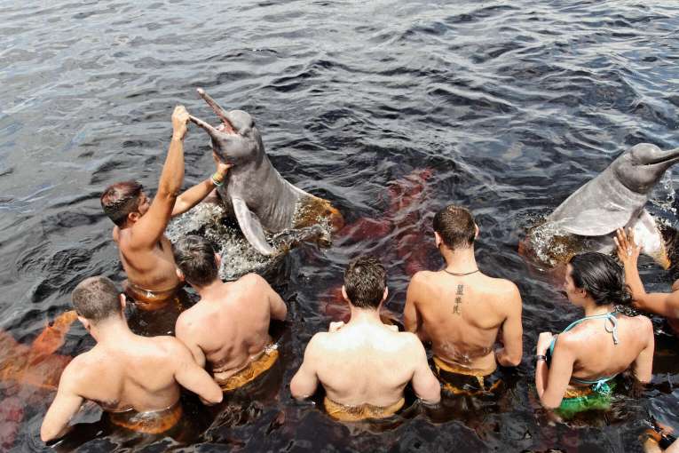 Où voir les dauphins roses en Colombie, informations sur les dauphins roses d'Amazonie en Colombie