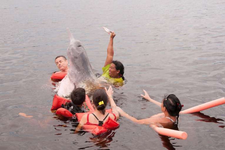 Où voir les dauphins roses en Colombie, informations sur les dauphins de rivières en Colombie