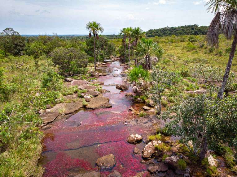 Caño Sabana Guaviare, la rivière colorée Trankilandia (le petit caño cristales)