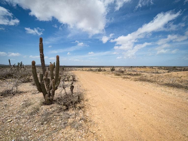 Tour dans le désert de la Guajira, ircuit Cabo de la vela, Punta Gallinas, La Macuira