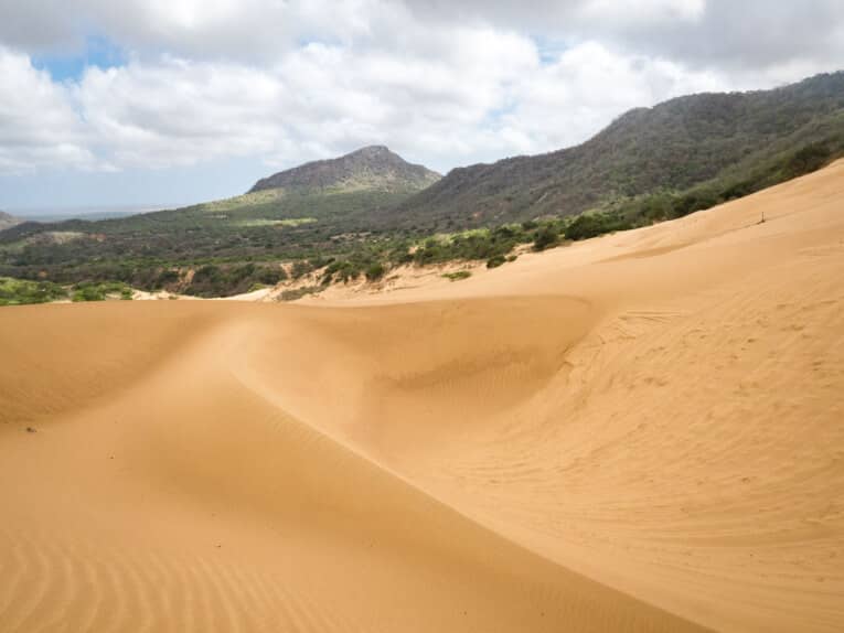 Le Parc Naturel de La Macuira dans le désert de la Guajira